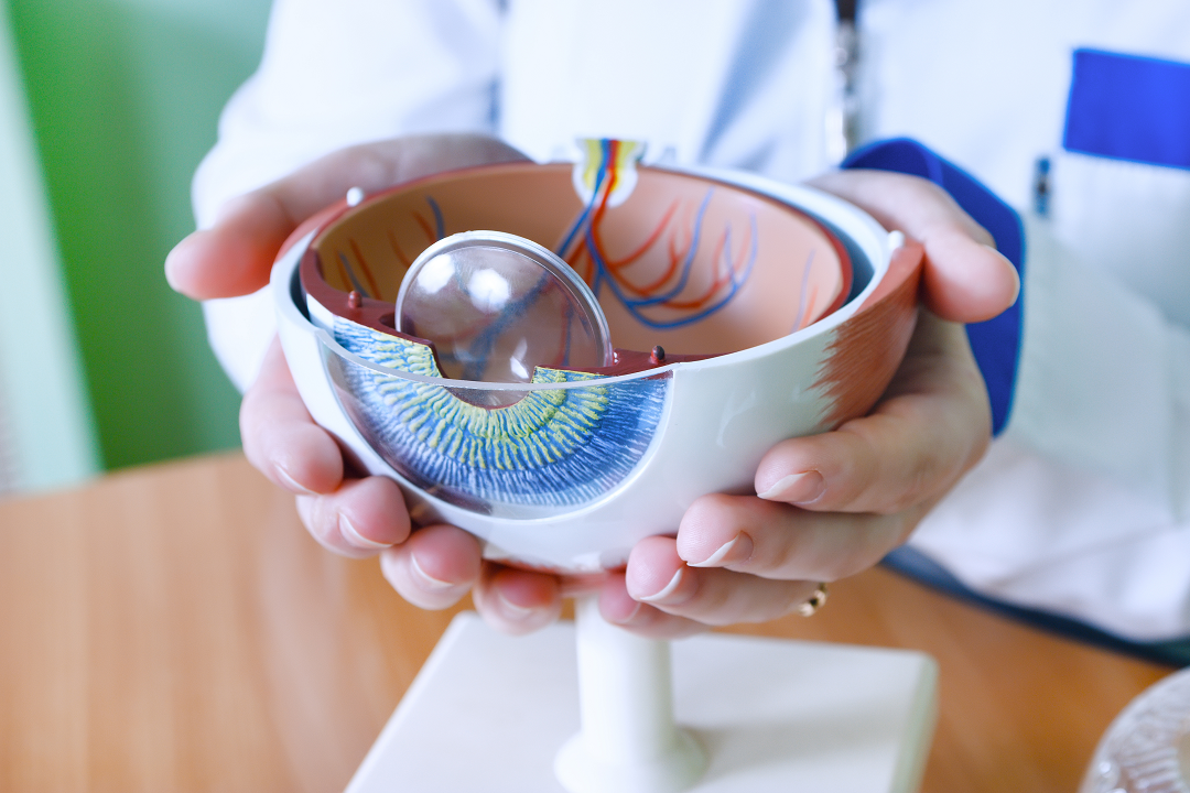 What is a Cataract? | Albemarle Eye Center